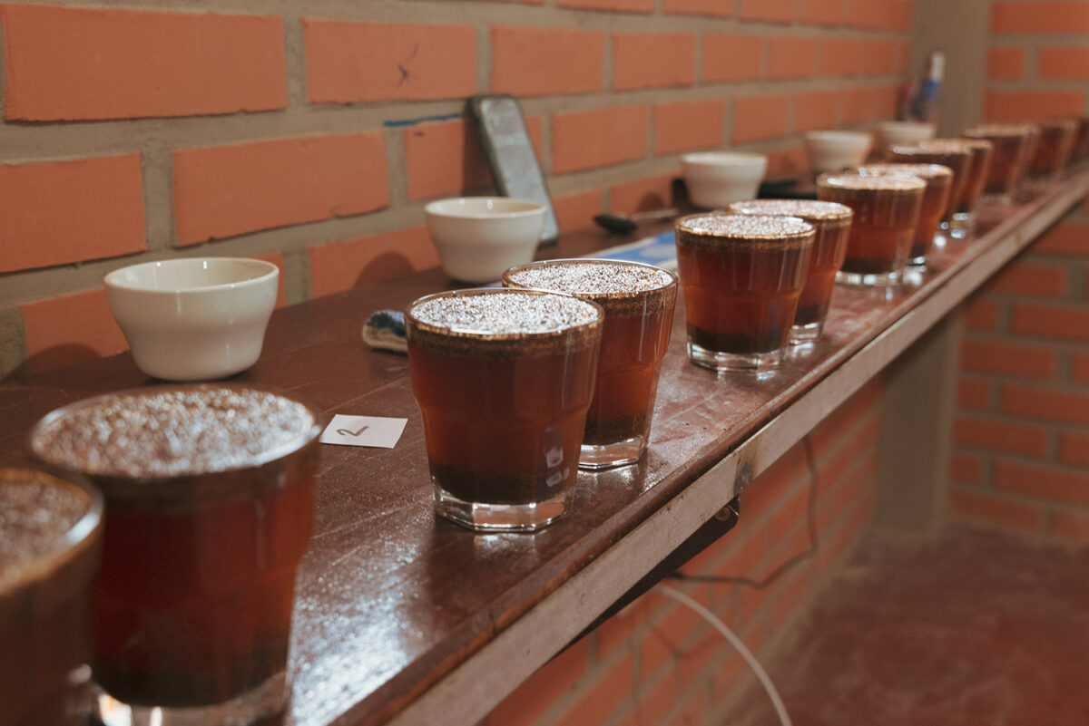 Specialty Coffee cupping